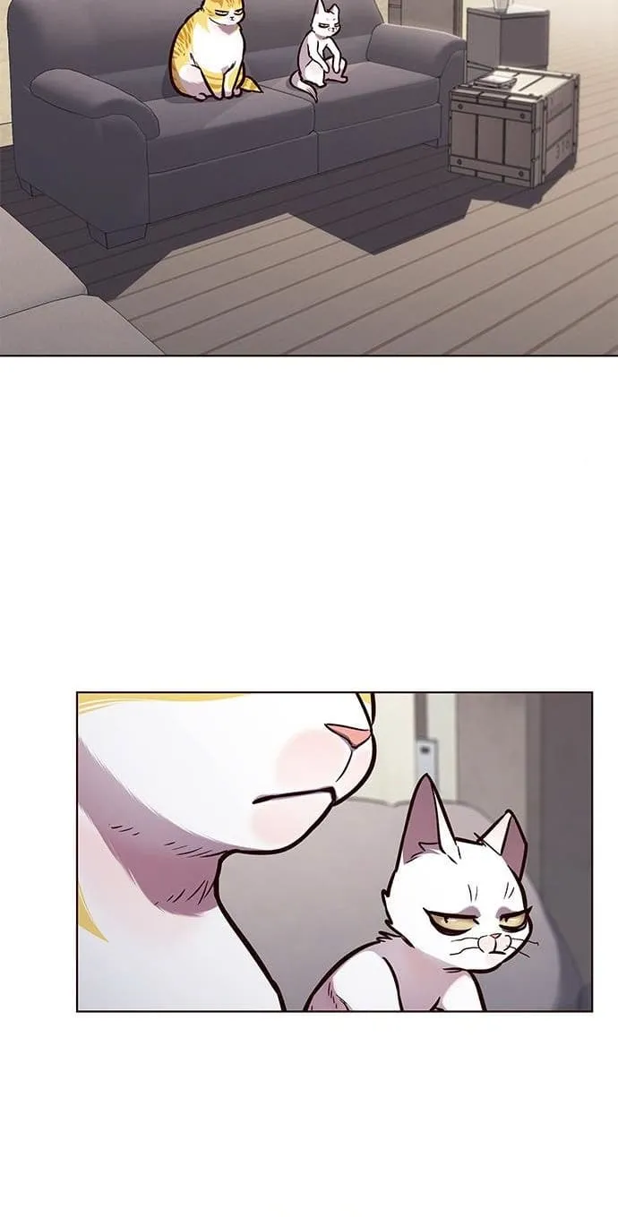 Eleceed Ch. 173 – page 3