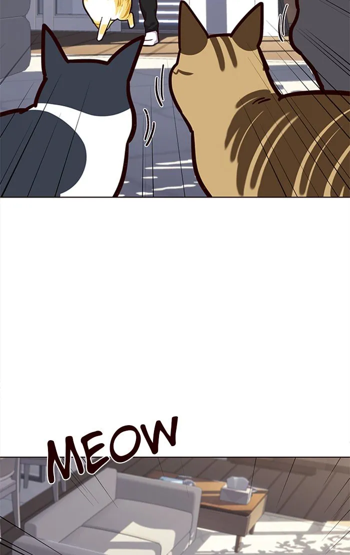 Eleceed Ch. 34 – page 64