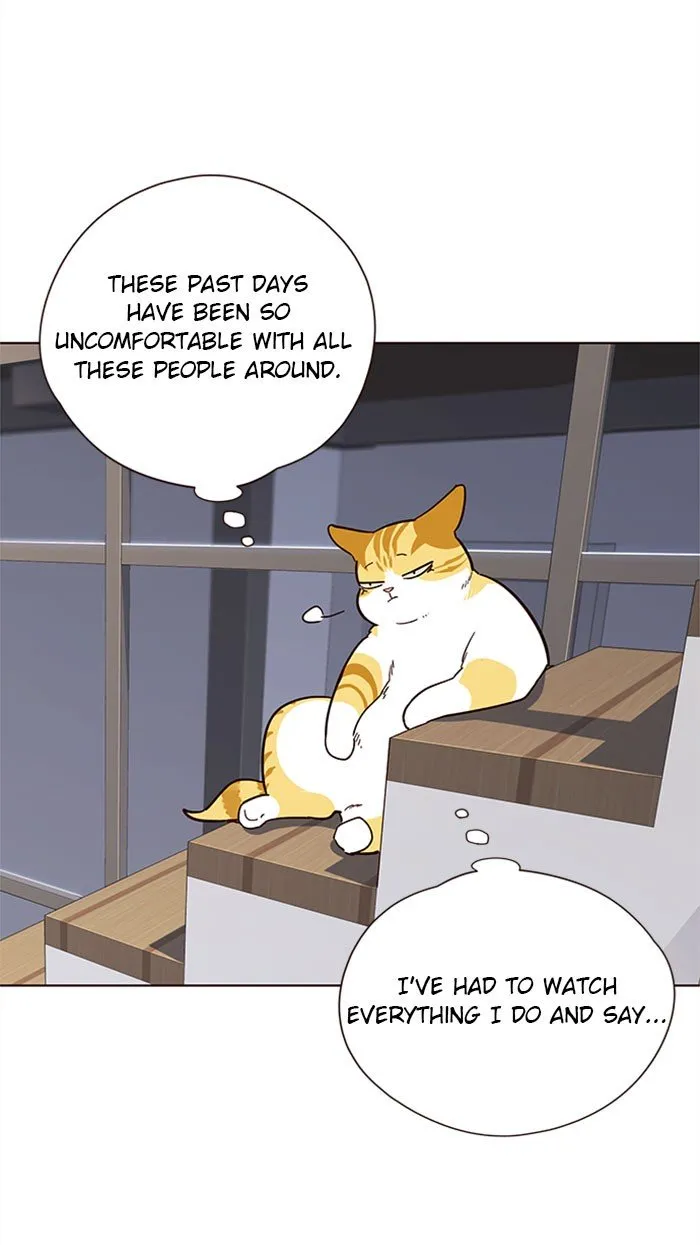 Eleceed Ch. 35 – page 42