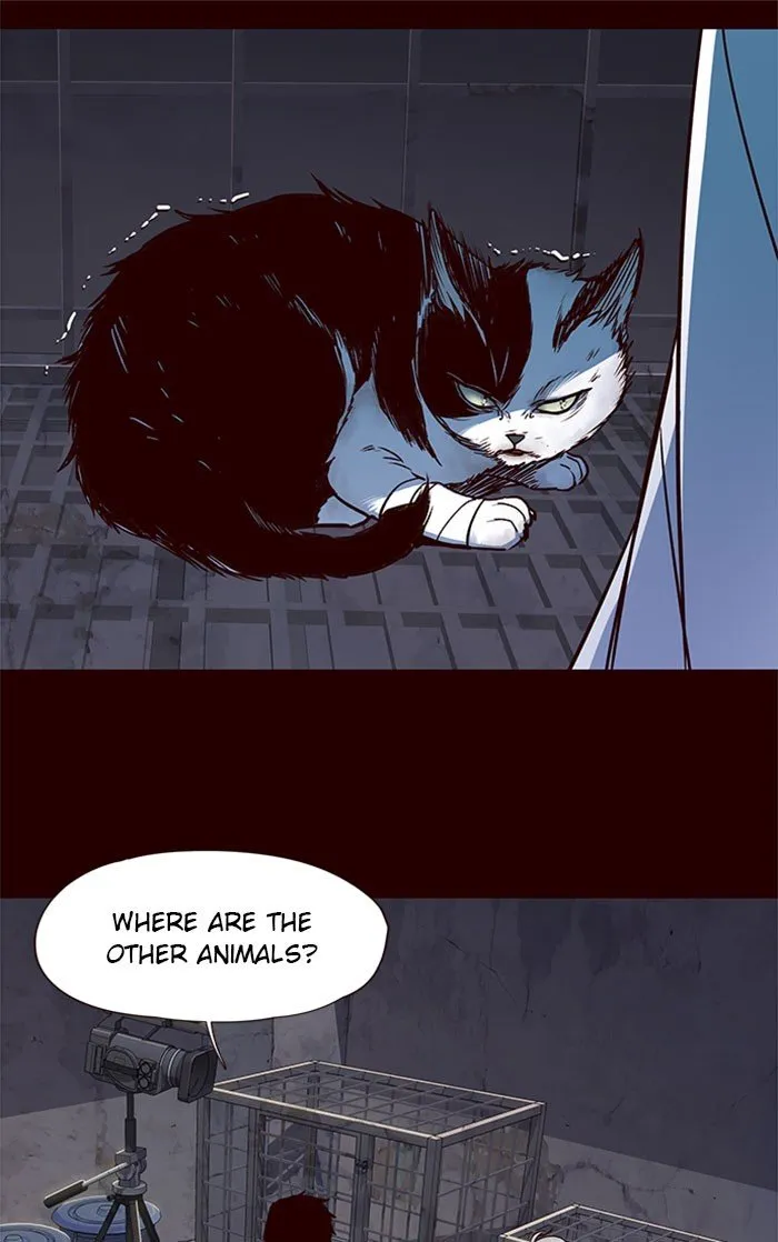 Eleceed Ch. 36 – page 10