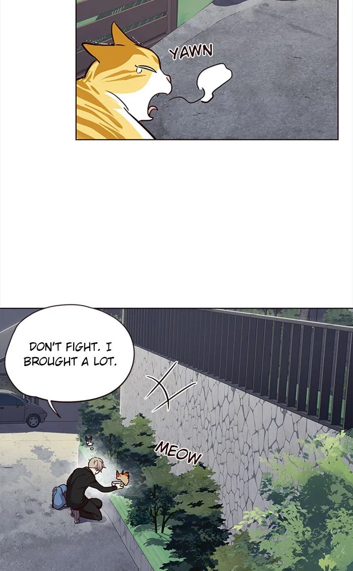 Eleceed Ch. 36 – page 71