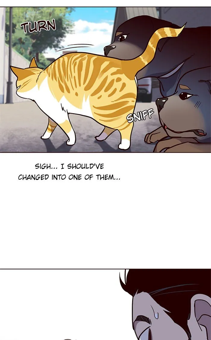 Eleceed Ch. 36 – page 98