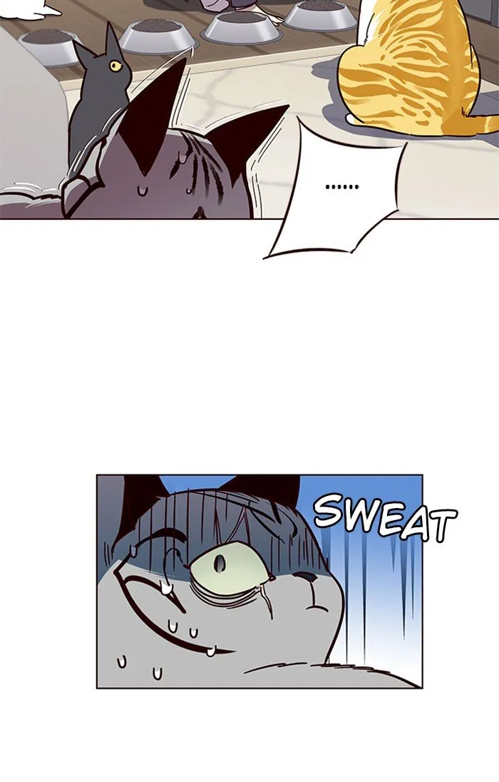 Eleceed Ch. 37 – page 33