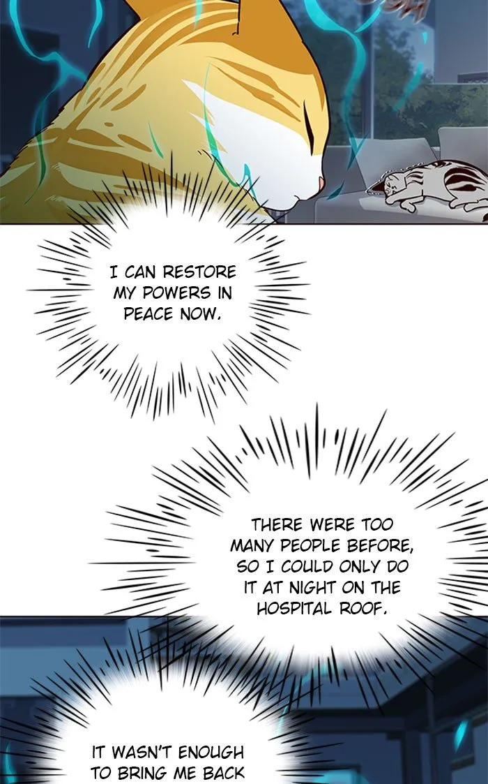 Eleceed Ch. 37 – page 44