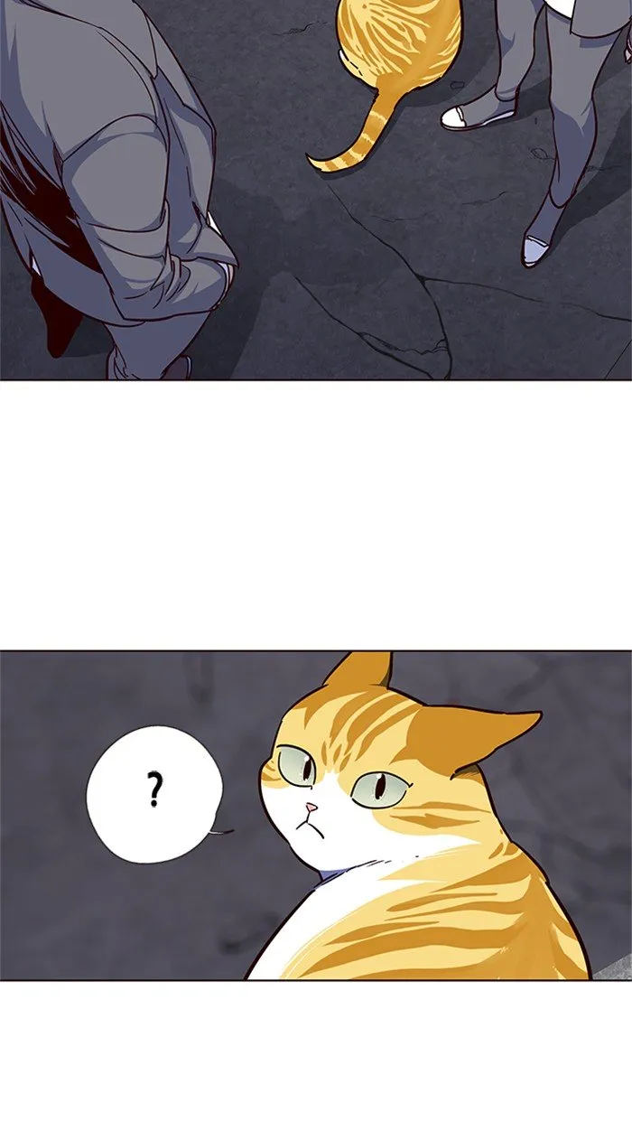 Eleceed Ch. 41 – page 47