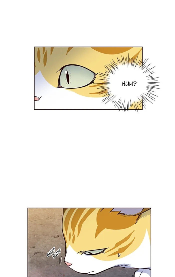 Eleceed Ch. 41 – page 50