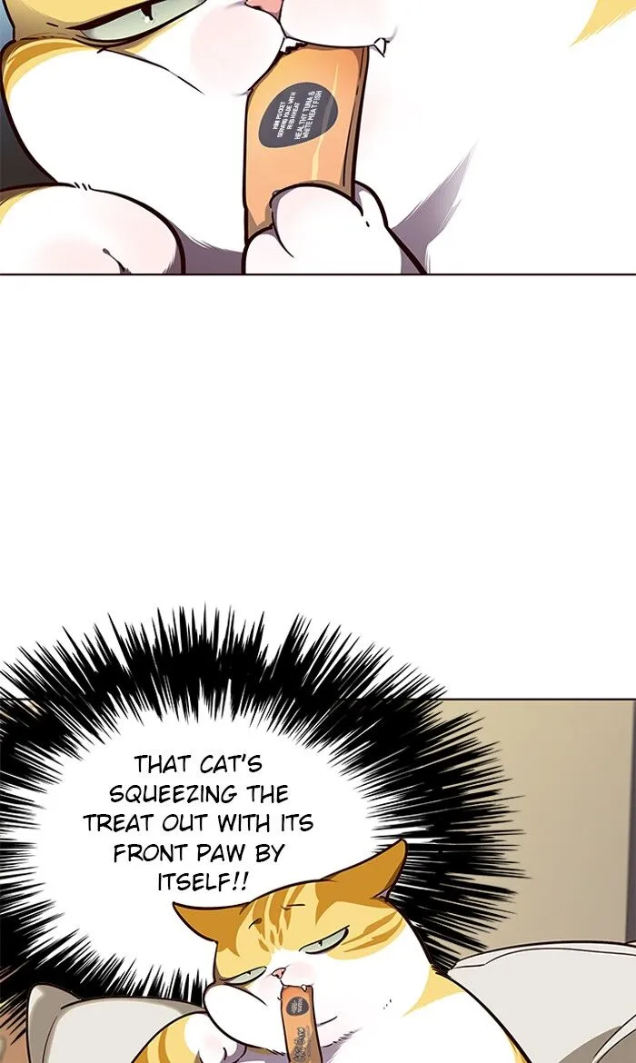 Eleceed Ch. 50 – page 7