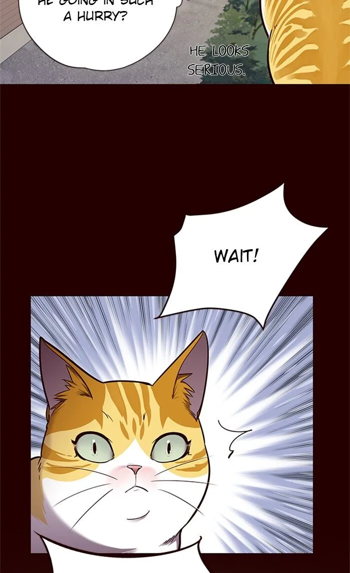 Eleceed Ch. 52 – page 40