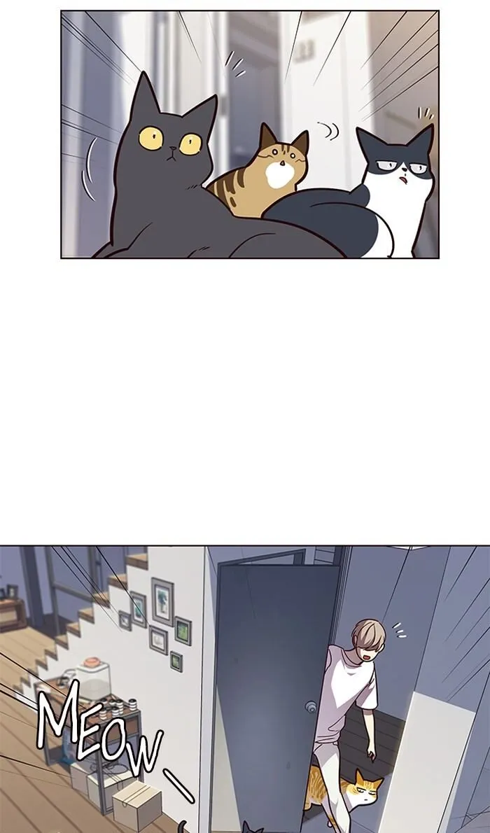 Eleceed Ch. 55 – page 11
