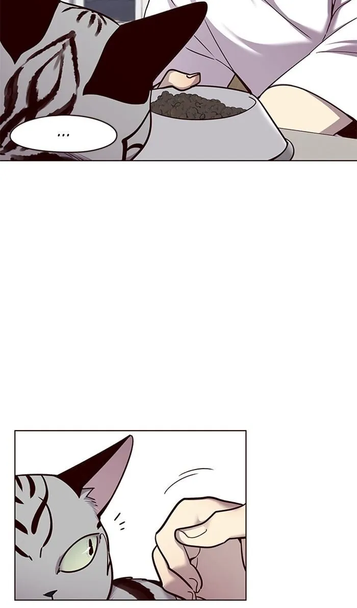 Eleceed Ch. 55 – page 15