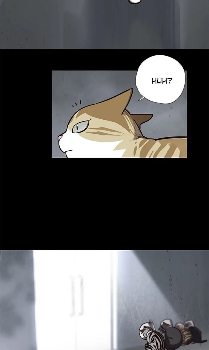 Eleceed Ch. 56 – page 3