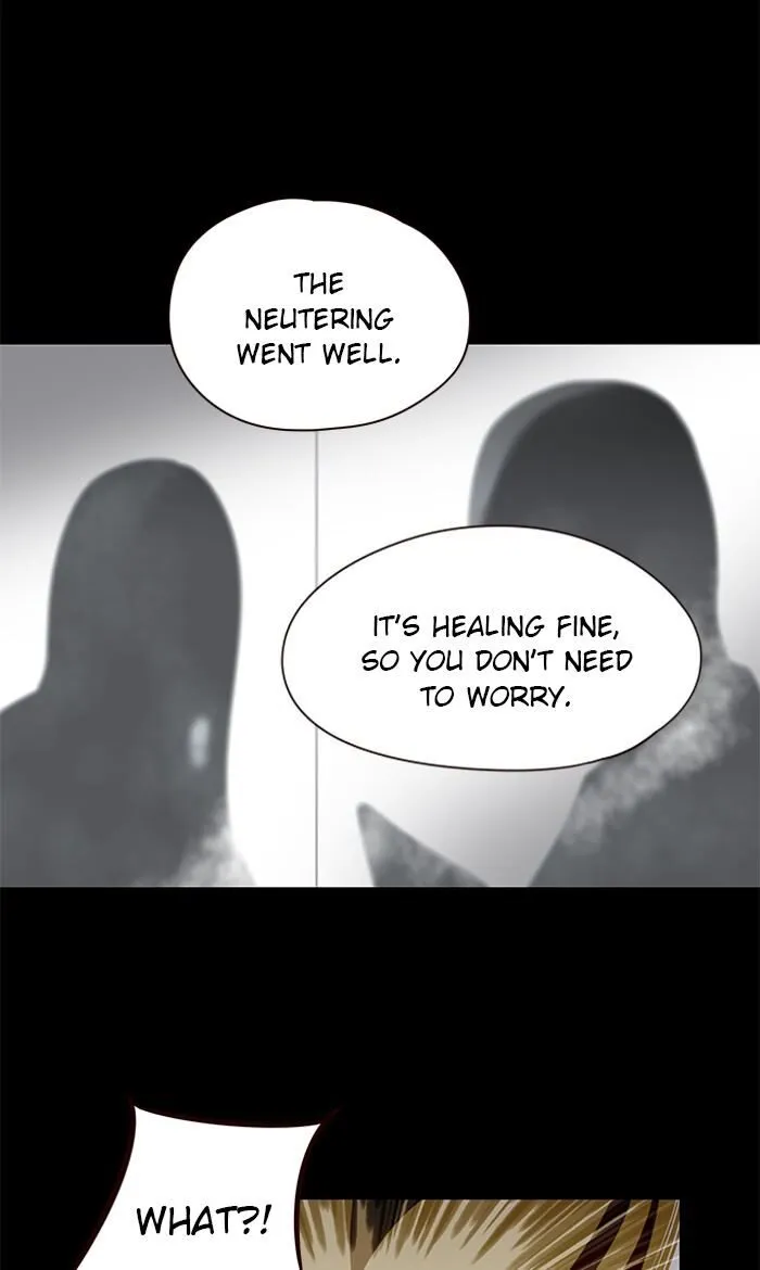 Eleceed Ch. 56 – page 8