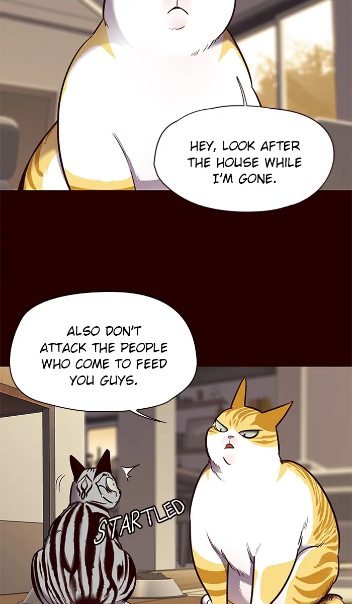 Eleceed Ch. 67 – page 35
