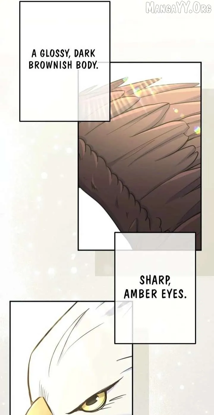 I Was Captured by the Yandere Duke Who Was My Husband in My Previous Life Ch. 17 – page 39